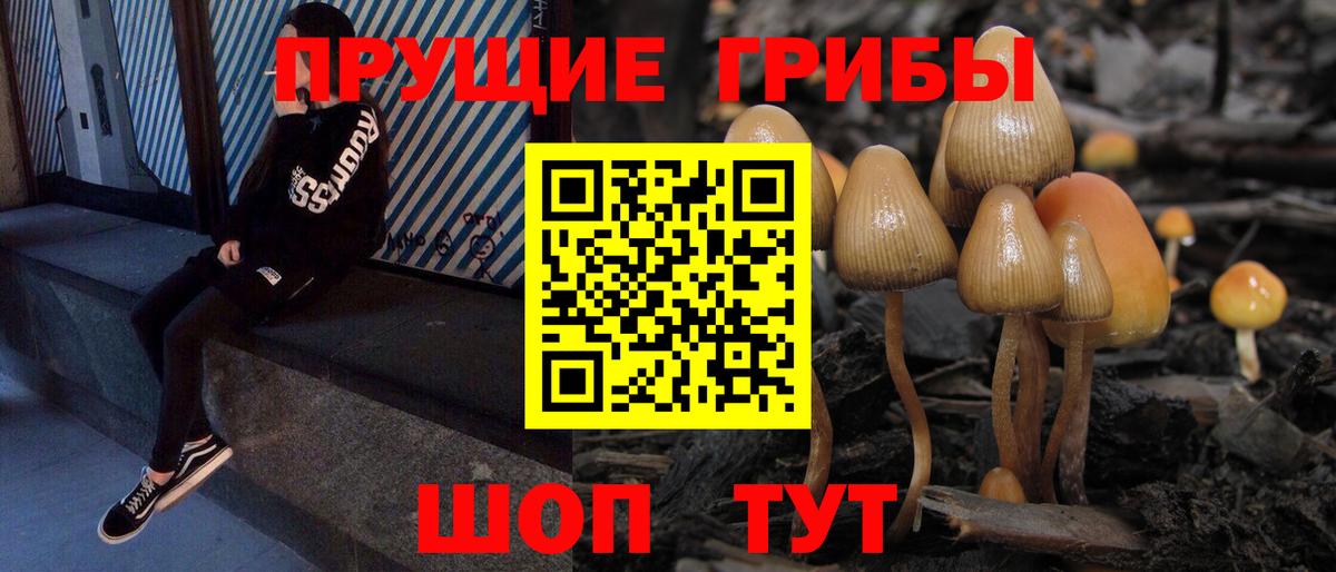 Псилоцибиновые грибы мицелий Пенза