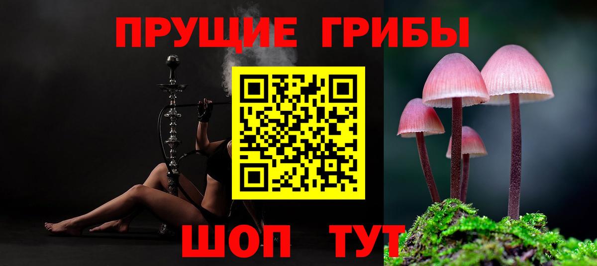 Пенза  купить  сайты  Вход с VPN  Псилоцибиновые грибы прущие грибы  Галлюциногенные грибы MAGIC MUSHROOMS 